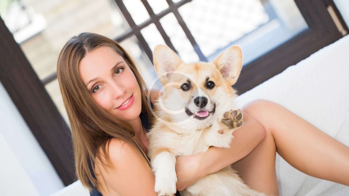 Dogs and Their Owners&rsquo; Stories